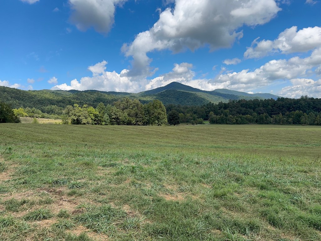 Why Booking a Smoky Mountain Cabin Directly Makes All the&nbsp;Difference