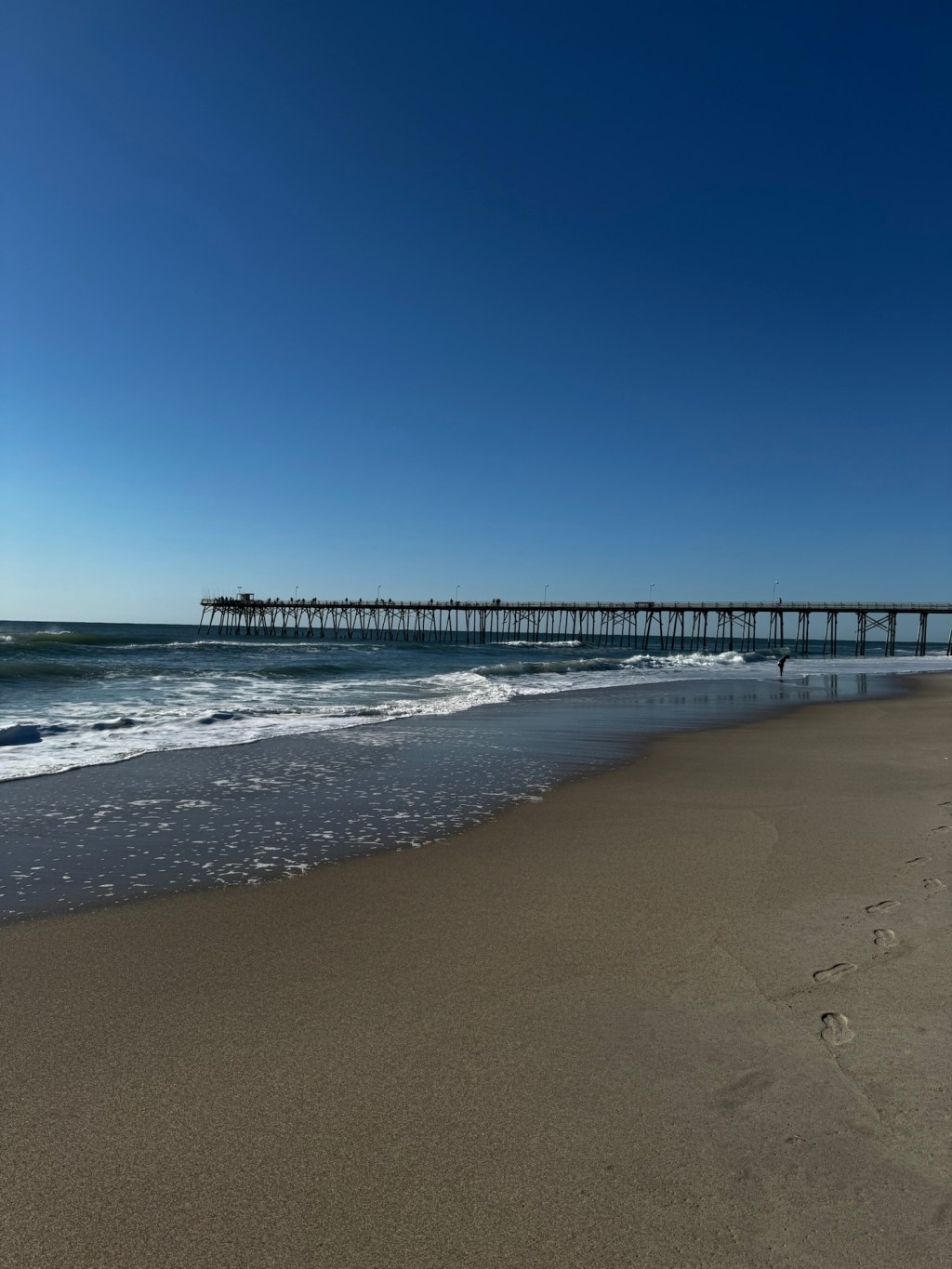 Things To Do Near Carolina Beach: Our Favorite Coastal&nbsp;Experiences